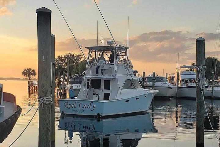 2 Hour Private Dolphin Sightseeing Tour - Photo 1 of 9